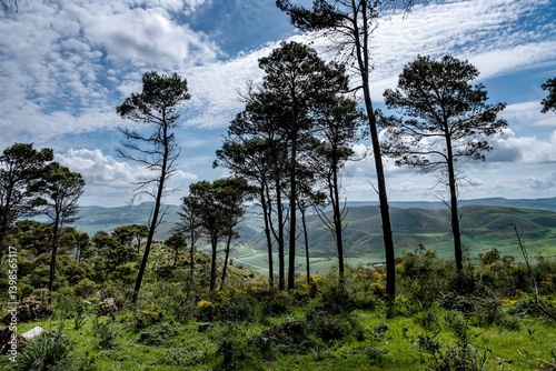 Obraz na płótnie Beautiful spring landscape view from the north of Tunisia w salonie