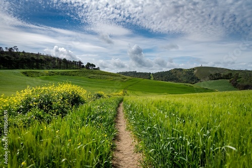 Obraz na płótnie Beautiful spring landscape view from the north of Tunisia w salonie