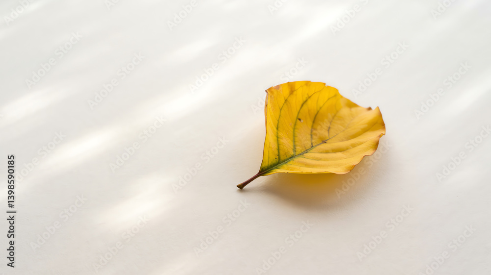 Naklejka premium yellow maple leaf