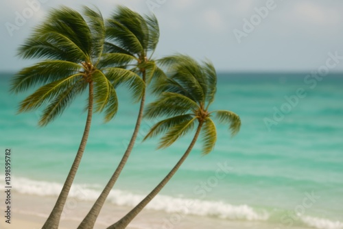 Tropical Palms Swaying Gently by the Turquoise Sea on a Sunny Day