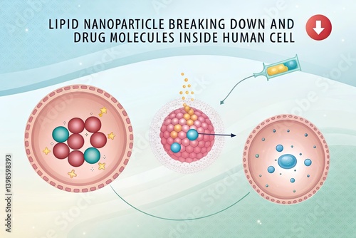 Lipid Nanoparticle Drug Delivery into Human Cell Illustration