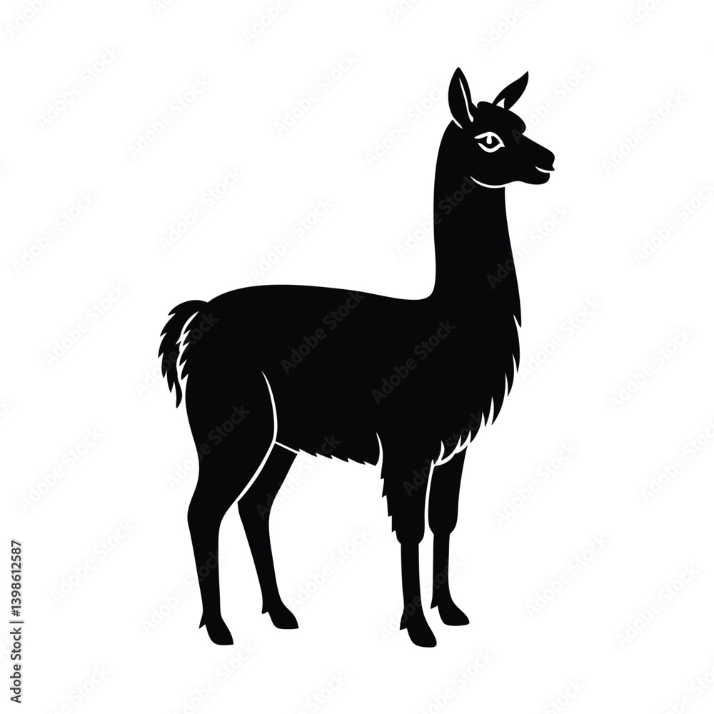 Fototapeta premium vector illustration of a llama