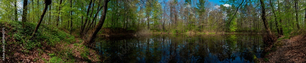 Panorama of forest lakes in spring, young leaves and freshly blossomed buds of trees and shrubs Panorama of forest lakes in spring, young leaves and freshly blossomed buds of trees and shrubs