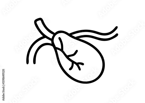 Icons of organs. galbladder