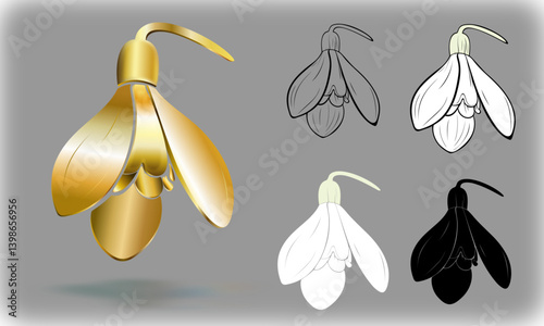 Snowdrop flower in various versions 3D, outlined for coloring book, with fillers, black silhouette