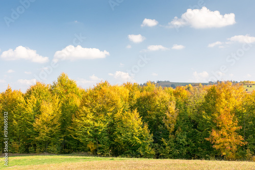 Obraz na płótnie landscape with trees on the hill in autumn. natural environment. mountainous countryside in fall colors on a sunny day. colorful foliage w salonie
