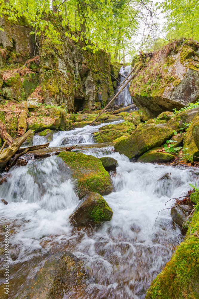 landscape with river among rock in forest. clear water stream in nature green environment. beautiful natural park scenery near wild waterfall in spring