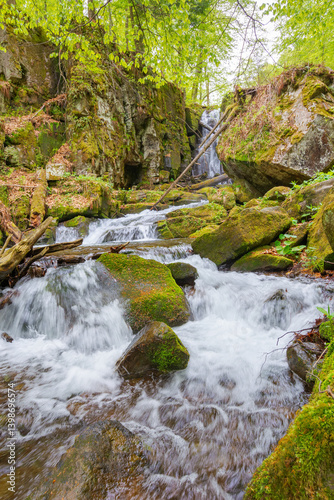 Obraz na płótnie landscape with river among rock in forest. clear water stream in nature green environment. beautiful natural park scenery near wild waterfall in spring w salonie
