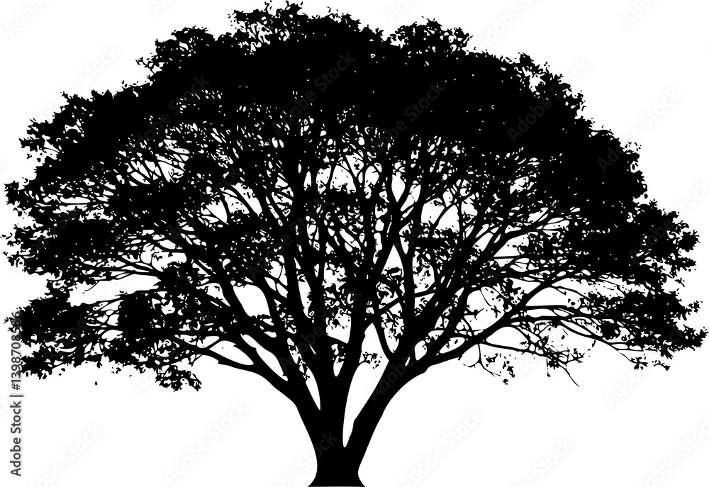 Fototapeta premium Black silhouette of a tree on white background. Minimalist and elegant natural shape, perfect for design projects, nature illustrations, logos, tattoo references, and decorative artistic compositions.