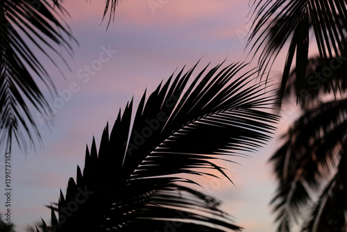 Wallpaper Mural Coucher de soleil tropical Torontodigital.ca