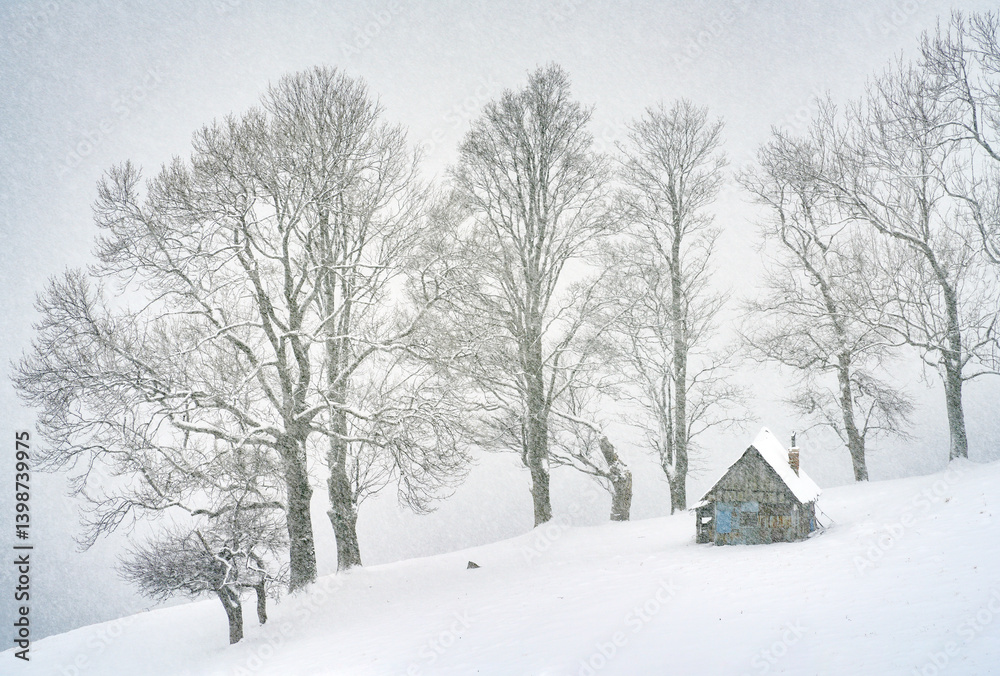 Snowy alpine abandonned house in the woods of Trasnylvanian Alps, Romania, Europe. Blizzard winter landscape with an abandonned chalet.