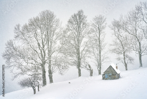 Obraz na płótnie Snowy alpine abandonned house in the woods of Trasnylvanian Alps, Romania, Europe. Blizzard winter landscape with an abandonned chalet. w salonie
