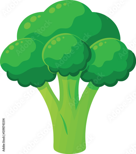 Crisp shot of one raw broccoli head isolated vector illustration
