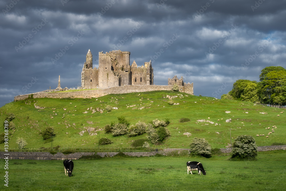 Witness a breathtaking view of ancient ruins of Rock of Cashel perched atop a hill, surrounded by peaceful grazing cows and lush greenery, all framed by dramatic clouds overhead, Tipperary, Ireland