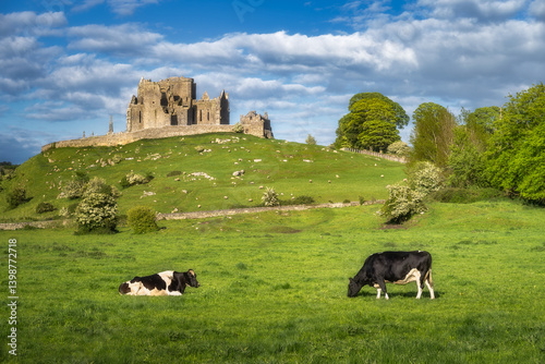 A scenic view of cows grazing in a lush pasture by historic ruins of Rock of Cashel, framed by soft clouds and vibrant trees, creating an idyllic and serene atmosphere, Tipperary, Ireland