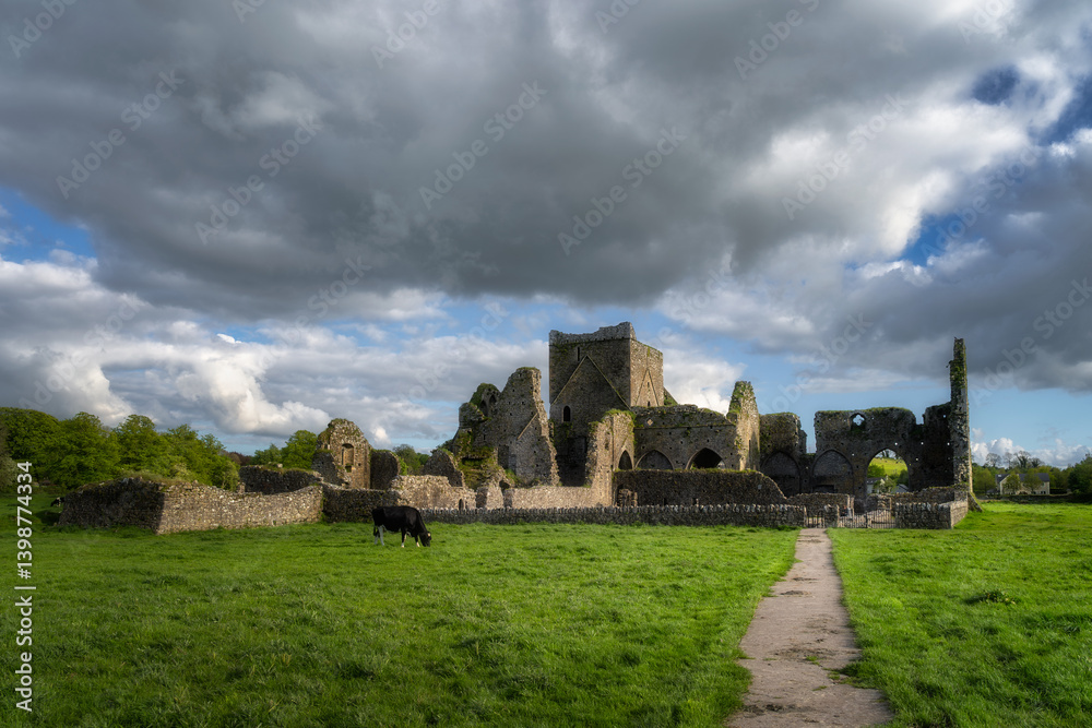 Explore ancient ruins of Hore Abbey that are nestled in verdant landscapes and beneath stunning skies, a perfect destination for lovers of both nature and rich history alike, Tipperary, Ireland
