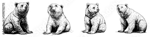 Bears in various poses showcasing their natural habitat and behaviors in a wilderness setting during daylight hours