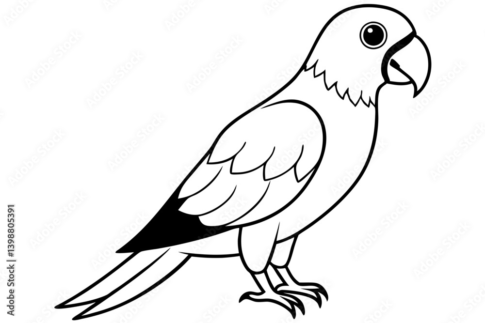 Fototapeta premium parrot silhouette line art vector illustration with a white background