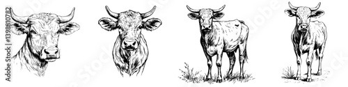Various sketches of cows showcasing different expressions and postures in a pastoral setting
