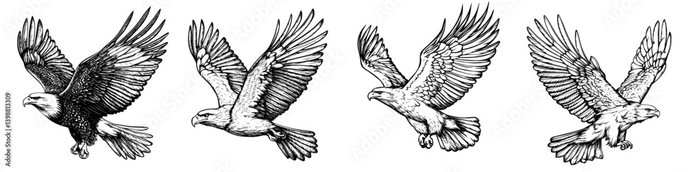Obraz premium Detailed illustrations of birds of prey in flight showcasing different species with unique wing and body features