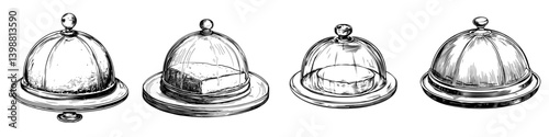Stylized illustration of serving cloches on trays showcasing a variety of designs and shapes in a culinary setting
