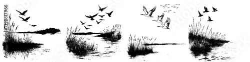 Birds flying over a tranquil marshland during the early morning hours with reflections in the water