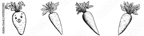 Smiling cartoon carrot and realistic carrot illustrations showcasing different styles in a simple arrangement