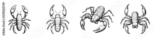 Various detailed illustrations of crabs and scorpions showcasing intricate line work and unique features