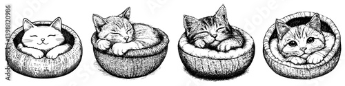 Cute cats relaxing in cozy baskets at home during a sunny afternoon