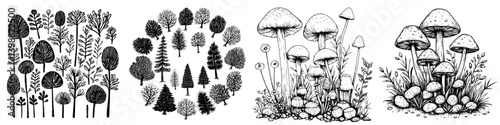 Floral and fungal illustrations showcasing diverse plant life in a whimsical black and white design