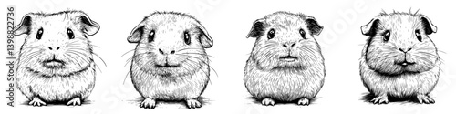 Adorable illustrations of four guinea pigs showcasing different expressions and personalities in detailed sketches