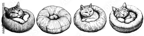 Cats lounging comfortably in cozy round beds showcasing unique designs and expressions in a relaxing setting