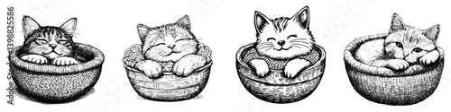 Cute cats resting in cozy baskets create a charming and heartwarming display of relaxation