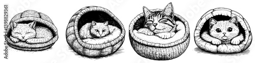 Cute cats resting peacefully in cozy baskets during a serene afternoon indoors