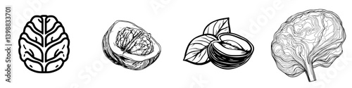 Unique black and white illustrations of various nuts and vegetables representing healthy eating concepts