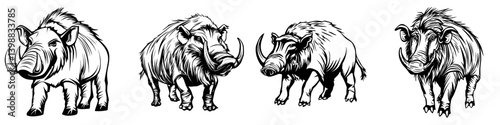 Wild boars depicted in detailed illustrations showcasing their unique features and postures in a natural setting