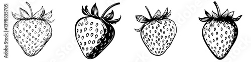 Detailed sketch illustrations of strawberries showcasing different shapes and textures in a hand-drawn style