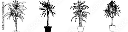 Various illustrations of indoor plants displayed in different pots with distinct designs and styles