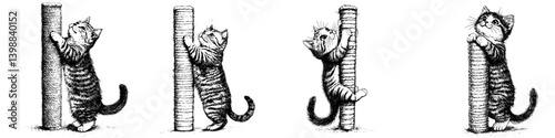 Kittens playfully climbing a scratching post in a cozy indoor setting during daytime