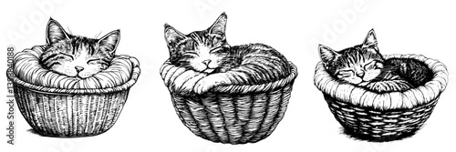 Three adorable sleeping cats nestled in cozy baskets in a warm indoor setting