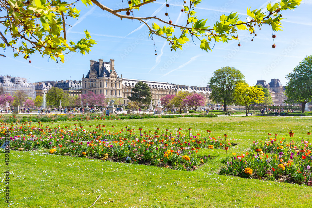 Tuileries gardens in spring, Paris, France