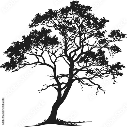 Detailed Tree Silhouette Vector Illustration Black and White Nature Graphic Tree Art Design
