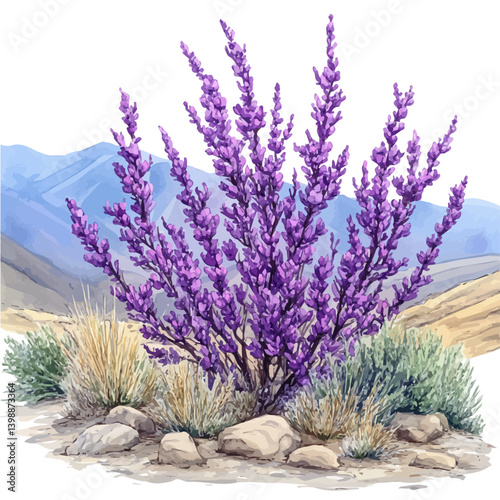 watercolor of Redbud Tree, vector, isolated on a white background.