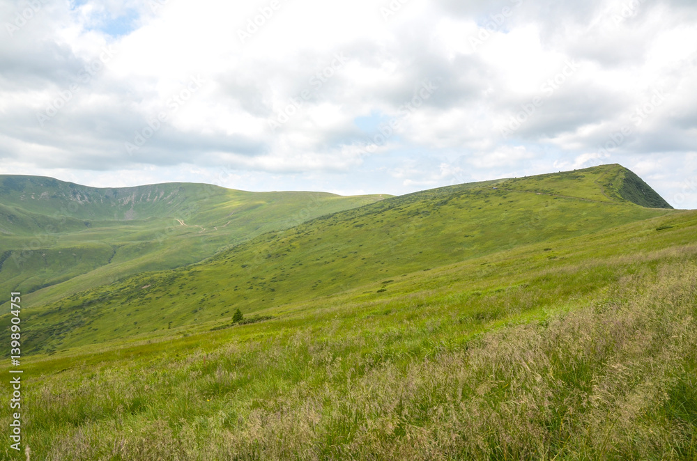 Vast green hills extend under a partly cloudy sky, capturing tranquility, peace, and nature's beauty. Carpathian Mountains, Ukraine Vast green hills extend under a partly cloudy sky, capturing tranquility, peace, and nature's beauty. Carpathian Mountains, Ukraine