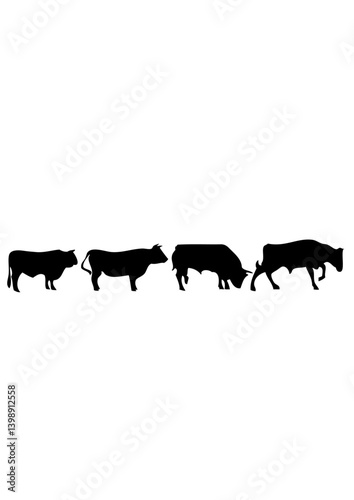 animation taureau dessin