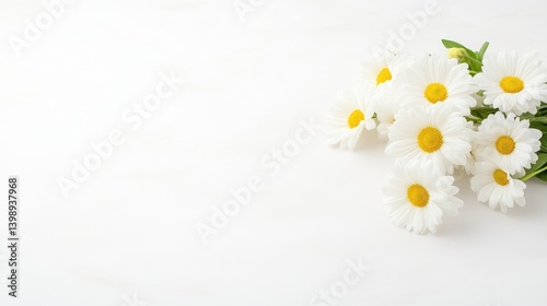 Delicate bouquet of white daisies on a white surface