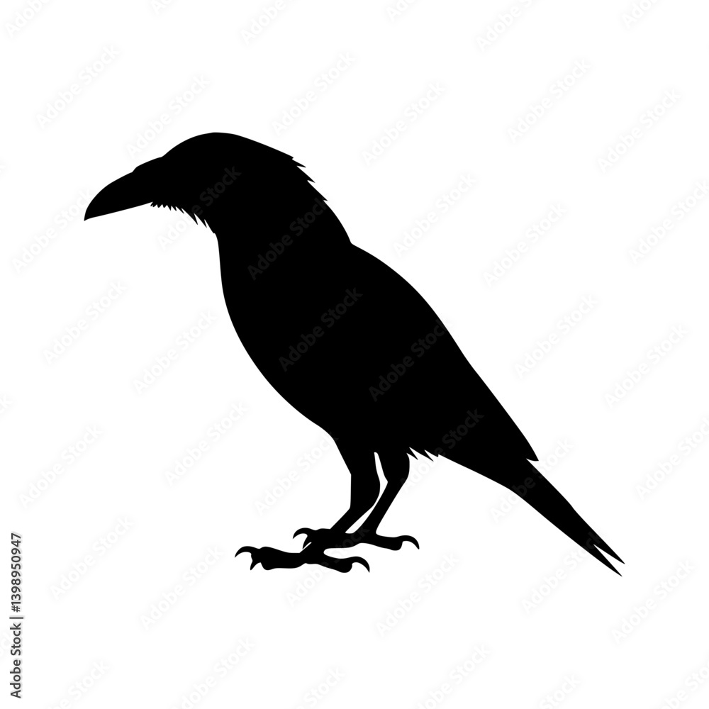 Obraz premium Raven Silhouette - Black Bird Vector