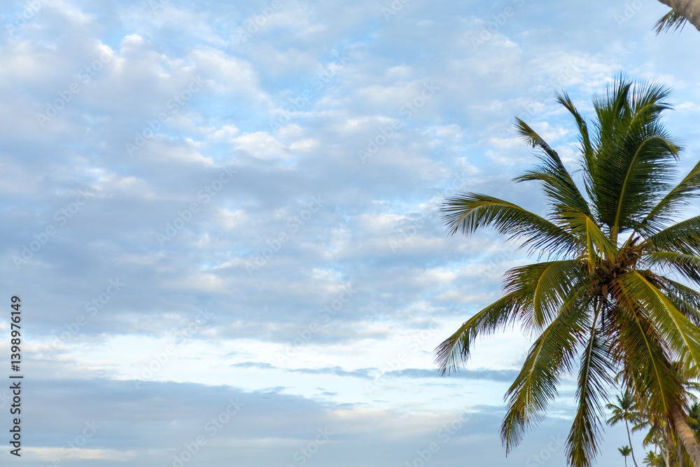 Obraz premium Beautiful palm trees swaying gently under a cloudy sky at sunset on a tropical beach