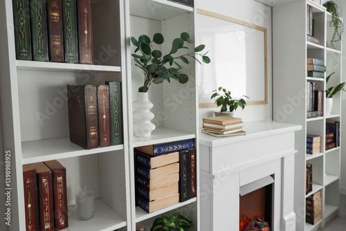 Books on shelving unit in home library