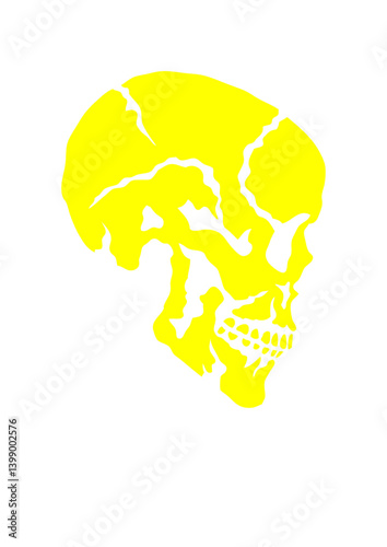 tete de mort squelette crane halloween profile